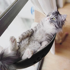 Cat window bed hammock